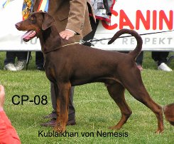 KUBLAIKHAN VON NEMESIS