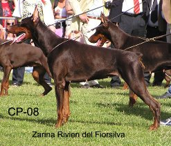 ZARINA RIVIEN DEL FIORSILVA