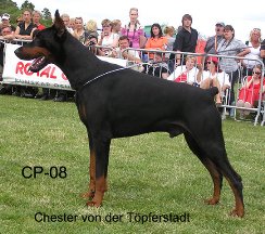 CHESTER VON DER TPFERSTADT